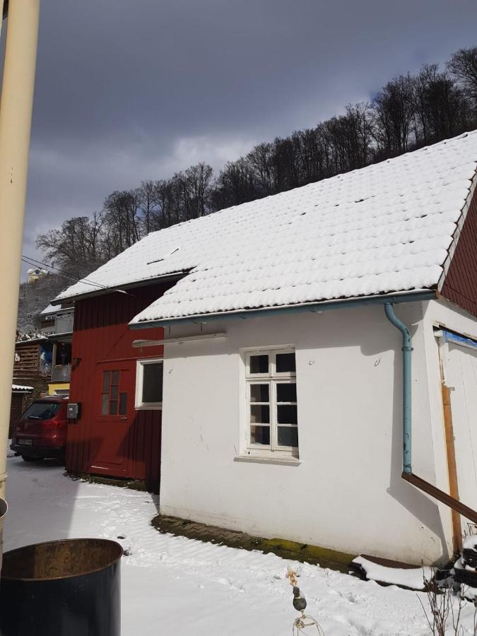 Ferienhaus Am Fluss Mit Traumhafter Dachterrasse ,Garten Und Grill Walkenried Esterno foto