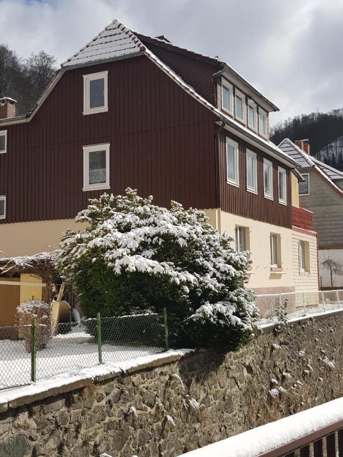 Ferienhaus Am Fluss Mit Traumhafter Dachterrasse ,Garten Und Grill Walkenried Esterno foto