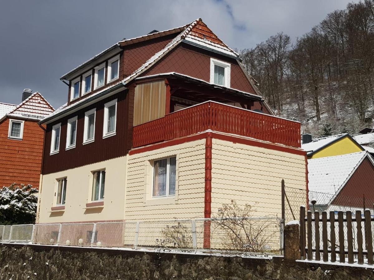Ferienhaus Am Fluss Mit Traumhafter Dachterrasse ,Garten Und Grill Walkenried Esterno foto