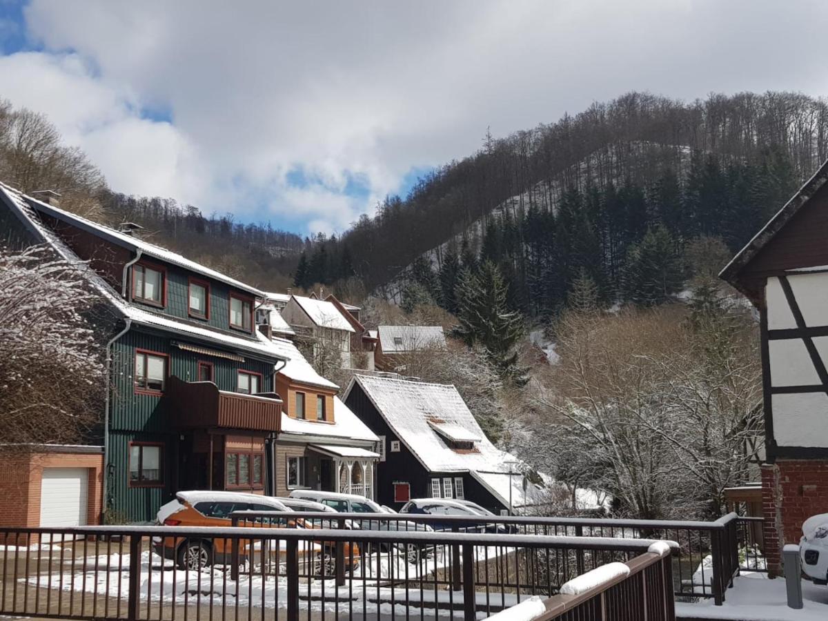 Ferienhaus Am Fluss Mit Traumhafter Dachterrasse ,Garten Und Grill Walkenried Esterno foto