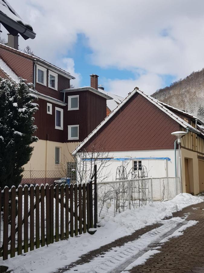 Ferienhaus Am Fluss Mit Traumhafter Dachterrasse ,Garten Und Grill Walkenried Esterno foto