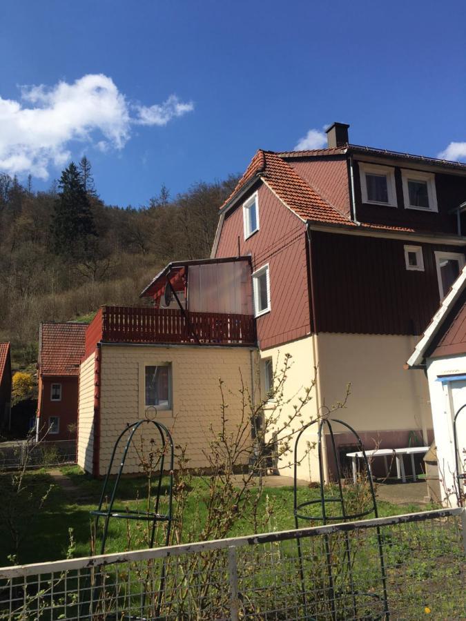 Ferienhaus Am Fluss Mit Traumhafter Dachterrasse ,Garten Und Grill Walkenried Esterno foto