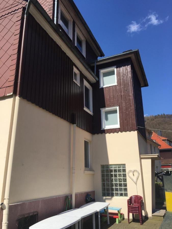 Ferienhaus Am Fluss Mit Traumhafter Dachterrasse ,Garten Und Grill Walkenried Esterno foto