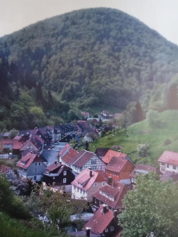 Ferienhaus Am Fluss Mit Traumhafter Dachterrasse ,Garten Und Grill Walkenried Esterno foto